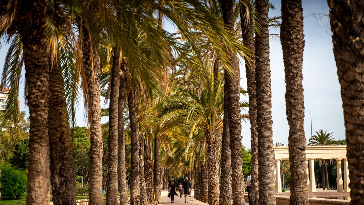 Spanien Valencia Turia garten Foto iStock Vojtech Petr