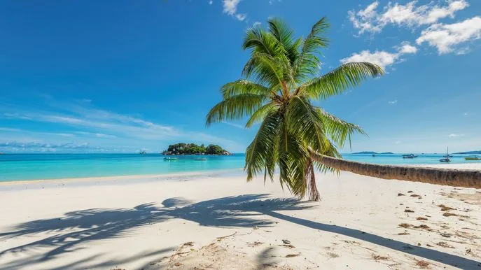 Jamaika Foto iStock lucky-photographer Jamaika Foto iStock lucky-photographer
