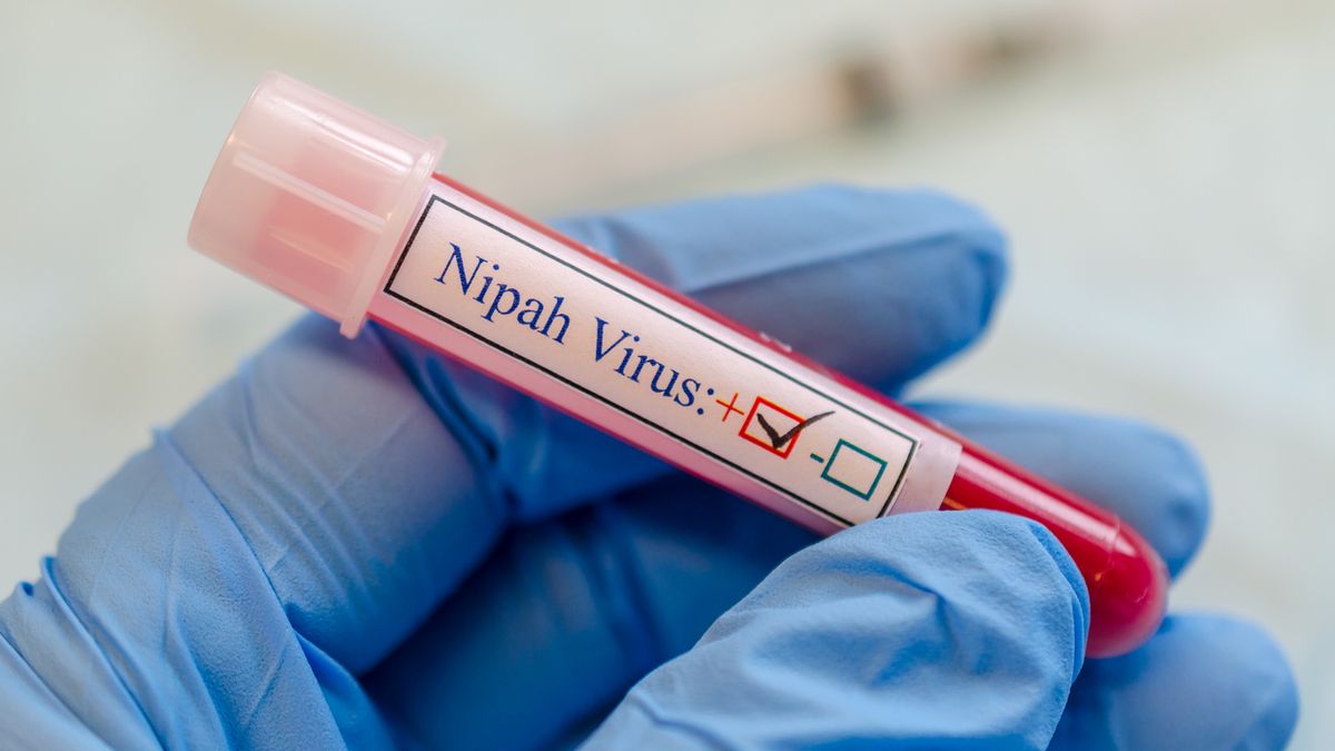 Nipah Virus Foto iStock Manjurul