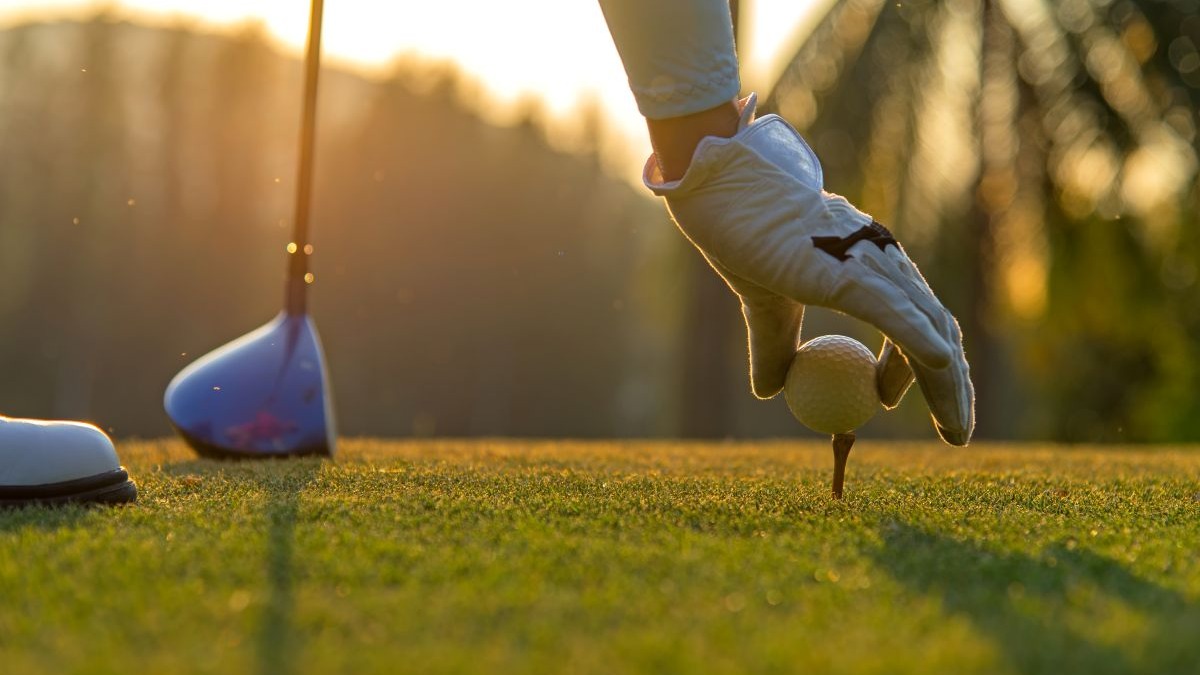 Sun Express Airlines Companyweek Sportlich Golf