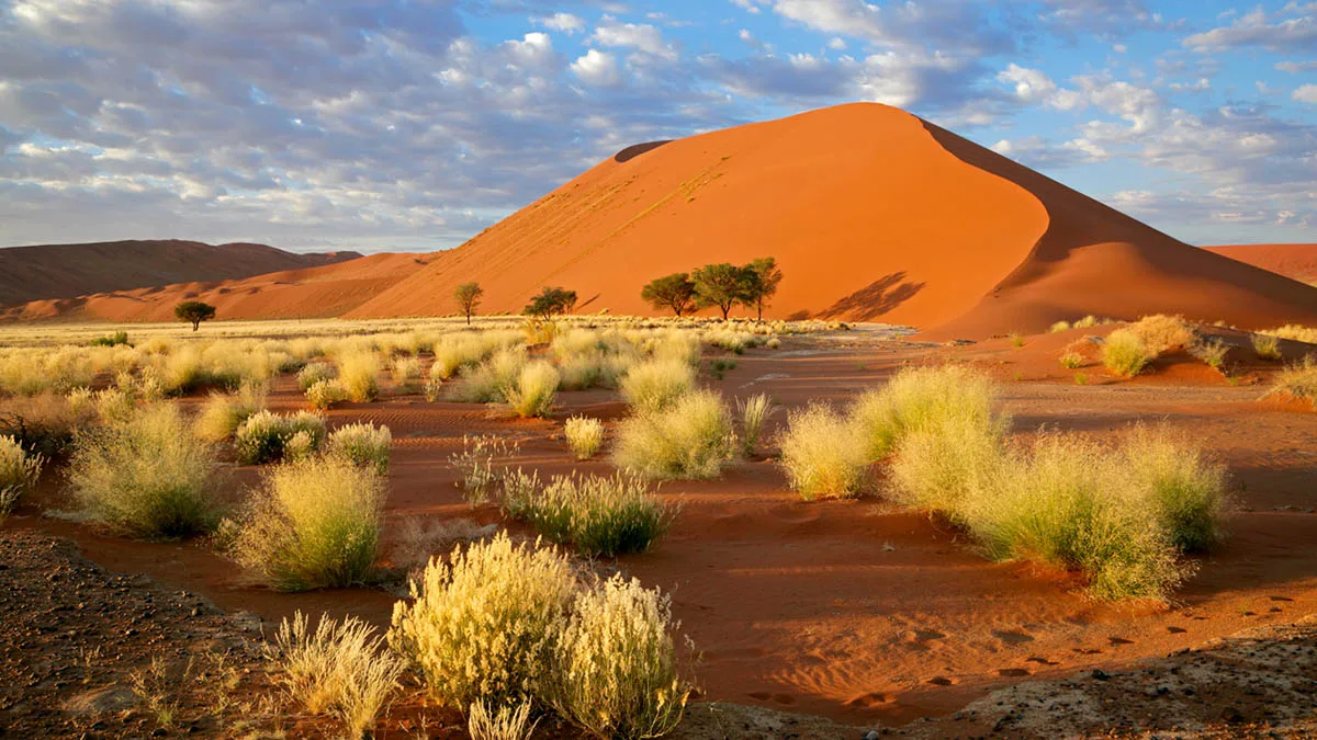 Namibia Namib iStock EcoPic-148225451 Namib
